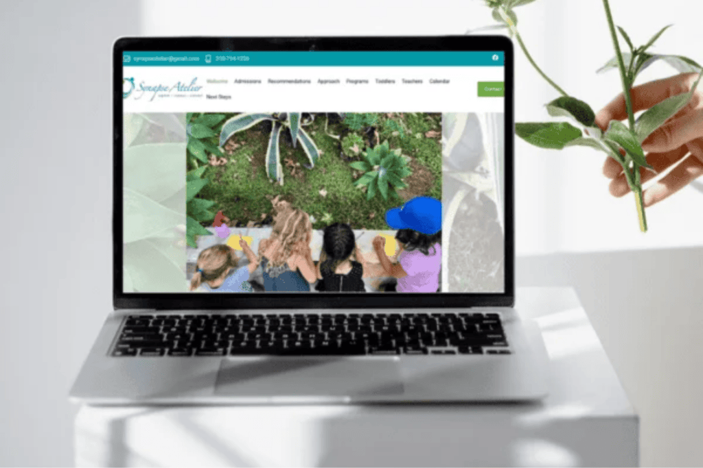 wordpress developer